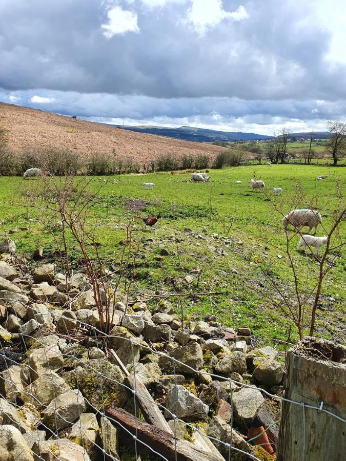 Wales' Highest Village - The Chartist Cottage - Trefil Tredegar Exteriér fotografie
