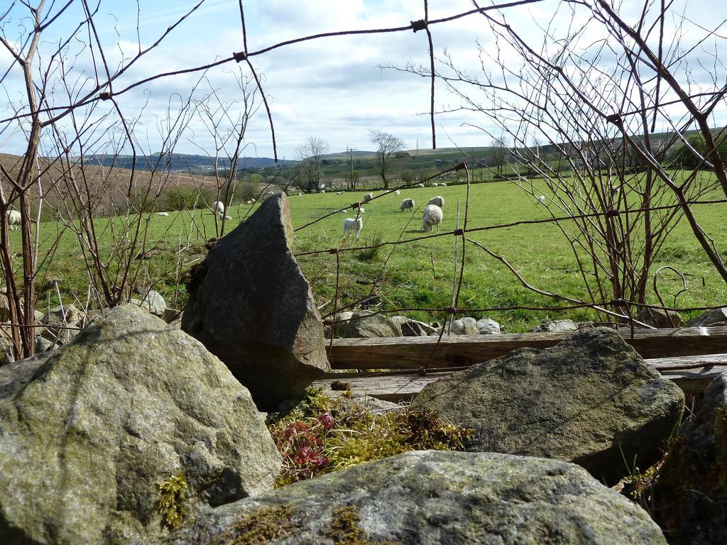 Wales' Highest Village - The Chartist Cottage - Trefil Tredegar Exteriér fotografie